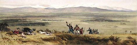 The Wairarapa Plains