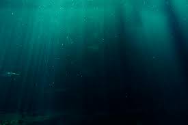 the deep