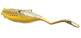 A tullyfish