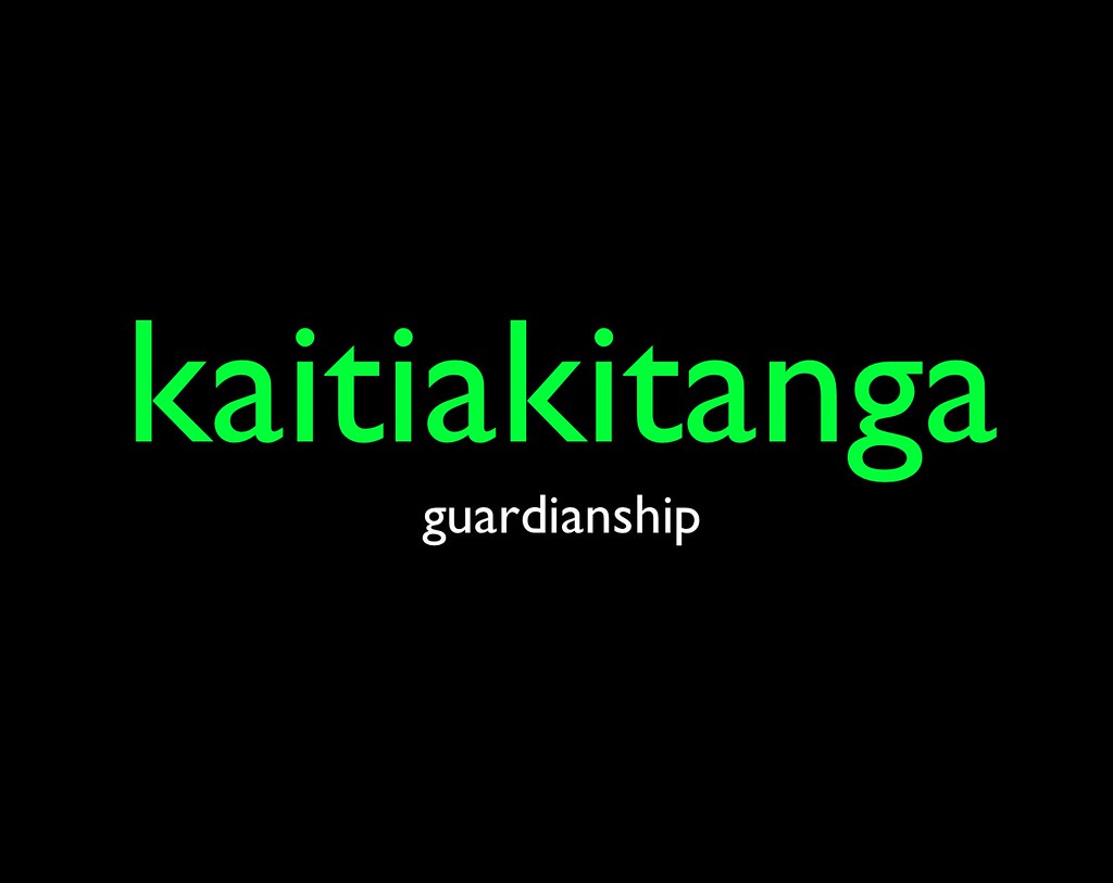 Kaitiakitanga