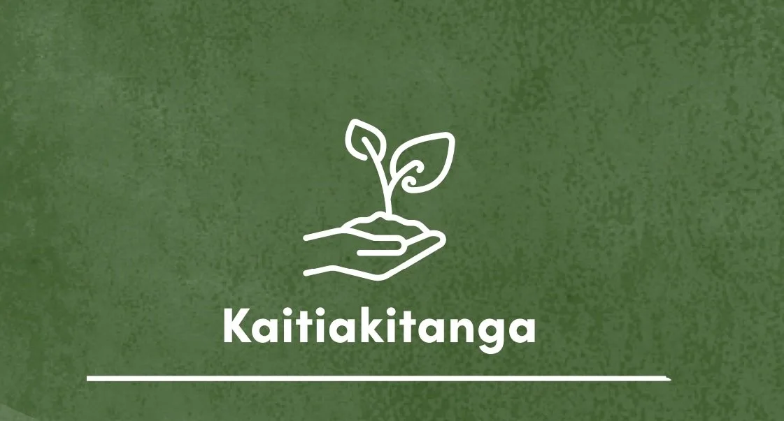 Kaitiakitanga