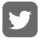Twitter Icon