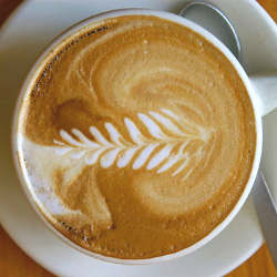 Experience the finest cuisine in Auckland and Wellington