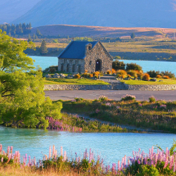Experience the tranquility and beauty of Lake Tekapo.